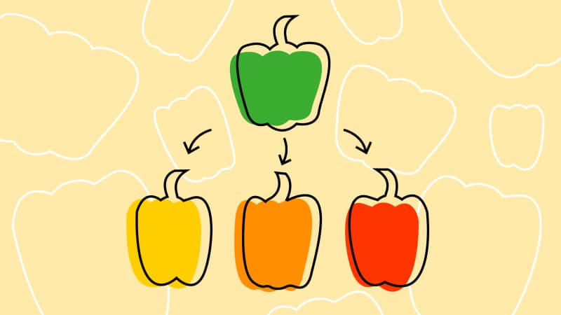 Which bell peppers outlet are the sweetest